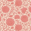 110029-aella-coral