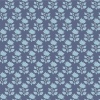 110109-mira-blue