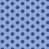 130013-medium-dots-denim-blue