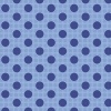 130013-medium-dots-denim-blue