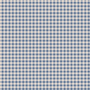 160073-gingham-blue_881618379