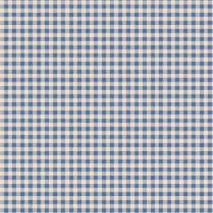 160073-gingham-blue_881618379