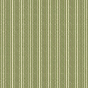 160082-stripe-green